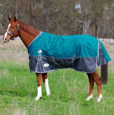 Image of a horse wearing the new Eurohunter Thredbo winter rug in harbour blue. Available to purchase online from Saddleworld Dural.