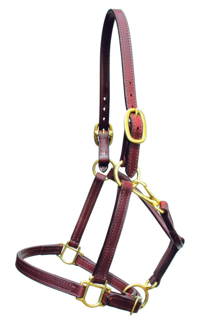 Image of the YR300 Yearling horse halter in premium brown leather. Designed and manufactured by Saddleworld Dural under the Good As Gold thoroughbred horse racing equipment collection.