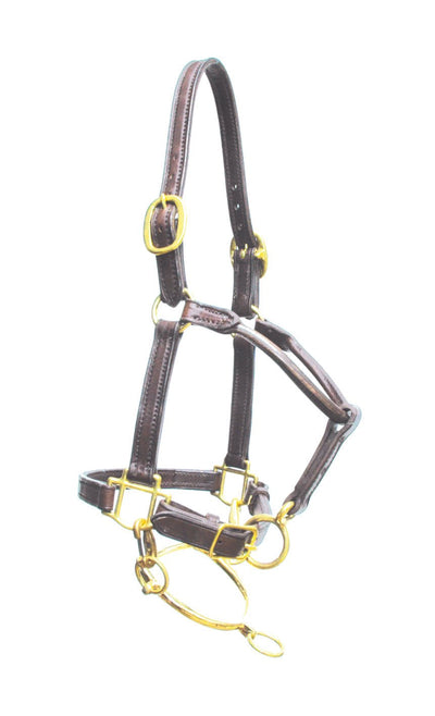 Image of the Saddleworld Dural Good As Gold Racing Yearling YR600 halter in brown.