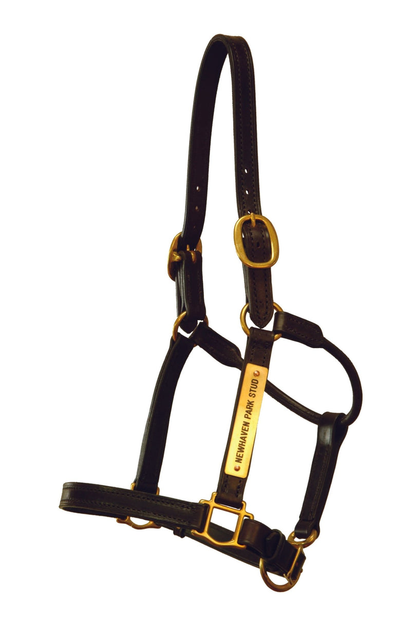 YR600 yearling horse halter for racing. Made from premium leather - available in black on request. Manufactured exclusively by Saddleworld Dural under the Good As Gold racing equipment collection.