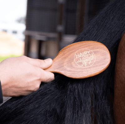 Hairy Pony Original Brush Kit