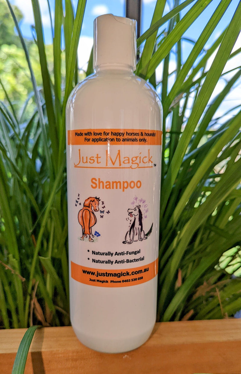 Just Magick Shampoo