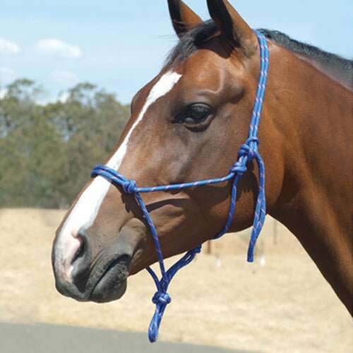 Academy Rope Halter – Saddleworld Dural