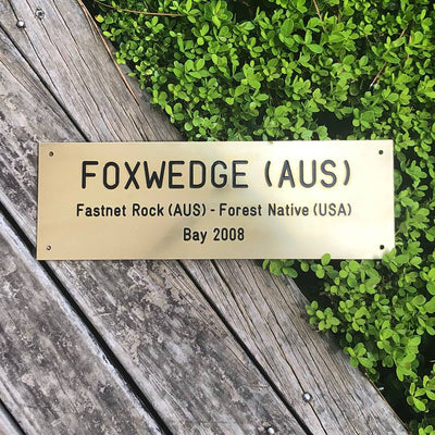 Customize your stable with our Brass Name Plate: Horse's name, sire, dam. Size: 300mm x 100mm for an elegant touch.